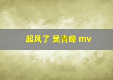 起风了 吴青峰 mv